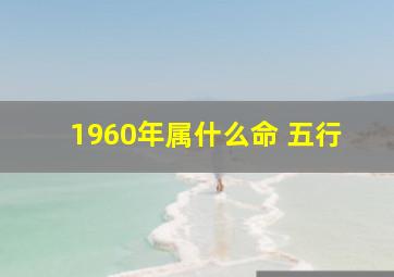 1960年属什么命 五行